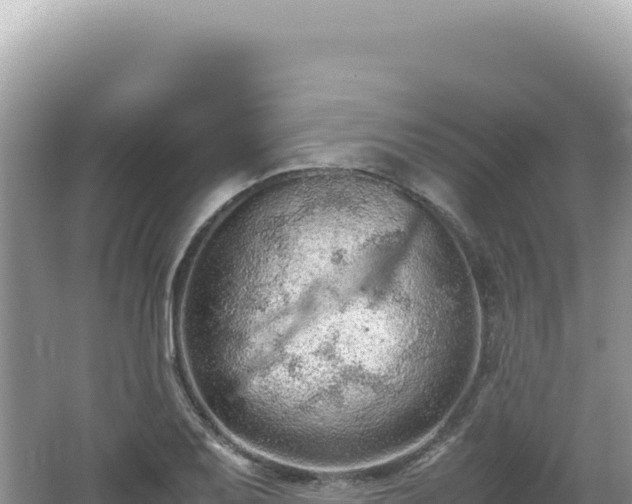 X0000062151079200512121301