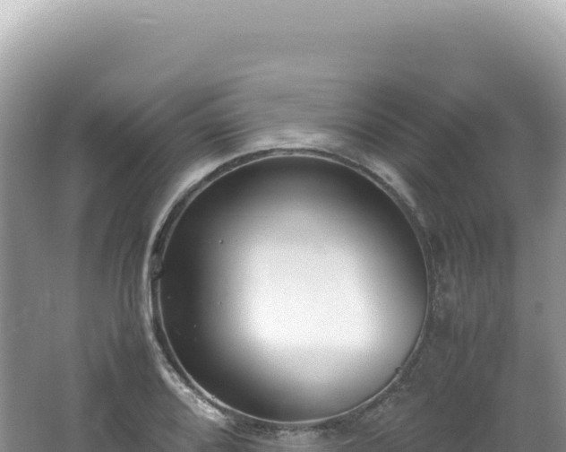 X0000062151080200512121301