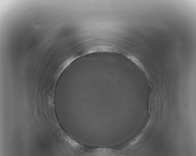 X0000062151081200512121301