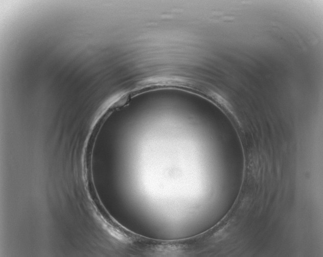 X0000062151082200512121301