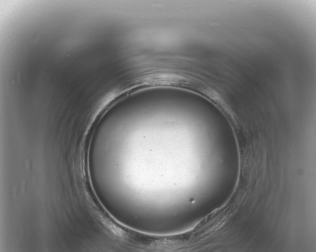 X0000062151083200512121301