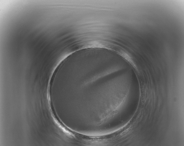 X0000062151084200512121301