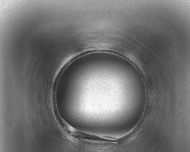 X0000062151085200512121301