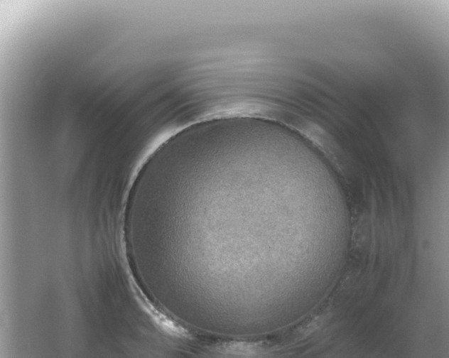 X0000062151086200512121301