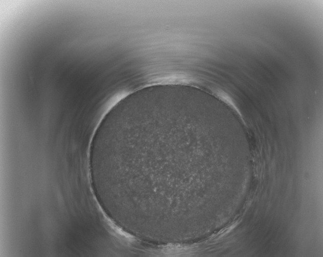 X0000062151087200512121301