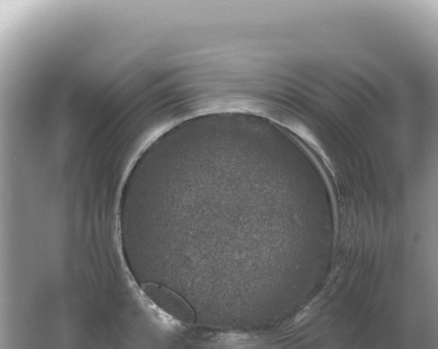 X0000062151088200512121301