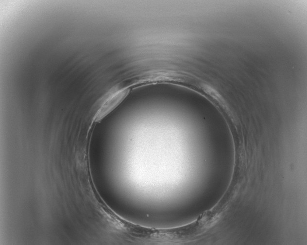 X0000062151089200512121301