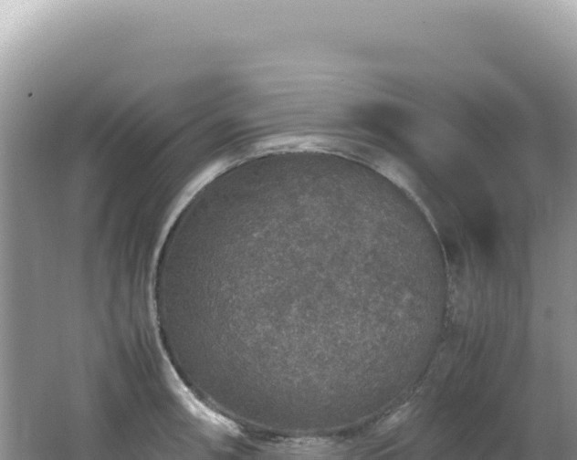 X0000062151090200512121301