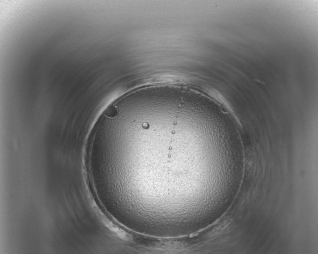 X0000062151091200512121301