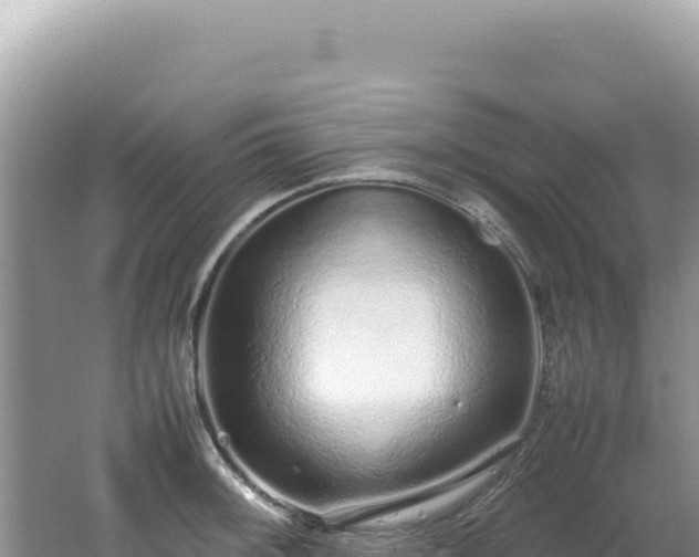 X0000062151092200512121301