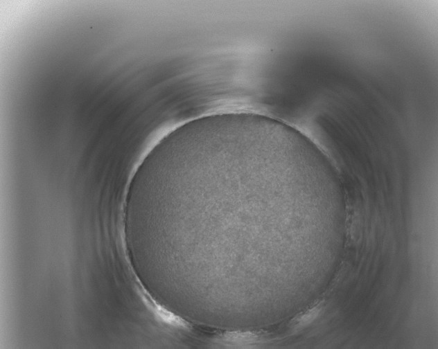 X0000062151094200512121301