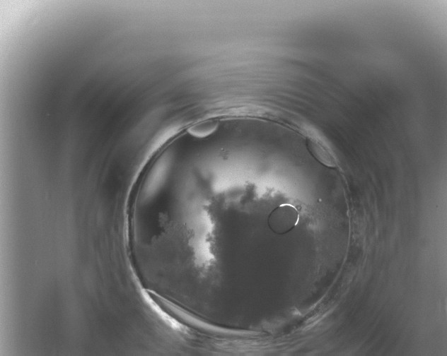 X0000062151095200512121301