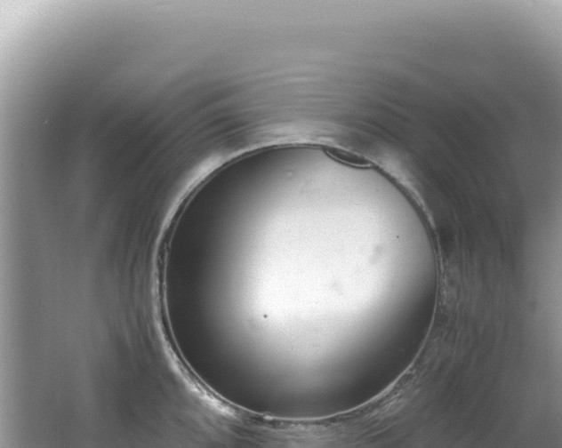 X0000062151096200512121301