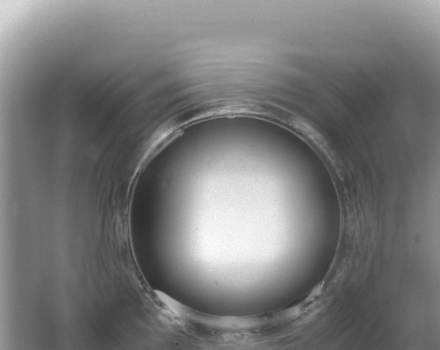 X0000062151097200512121301