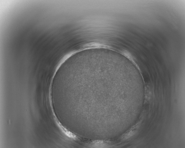 X0000062151098200512121301