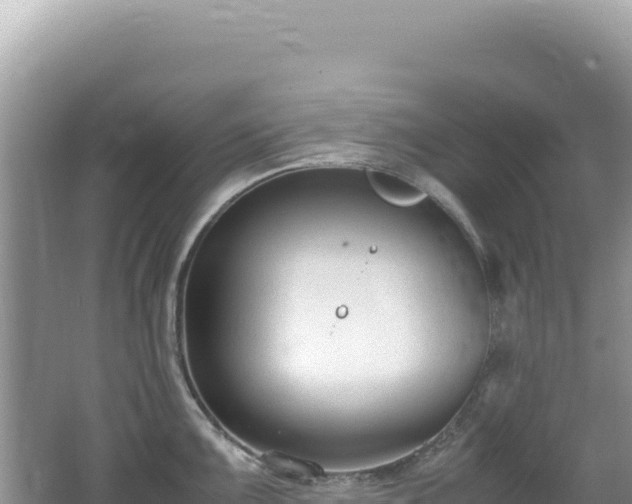 X0000062151099200512121301