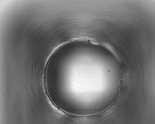 X0000062151100200512121301