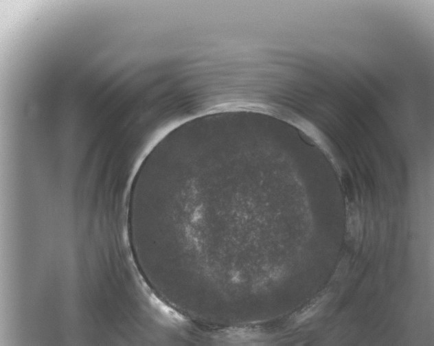 X0000062151102200512121301