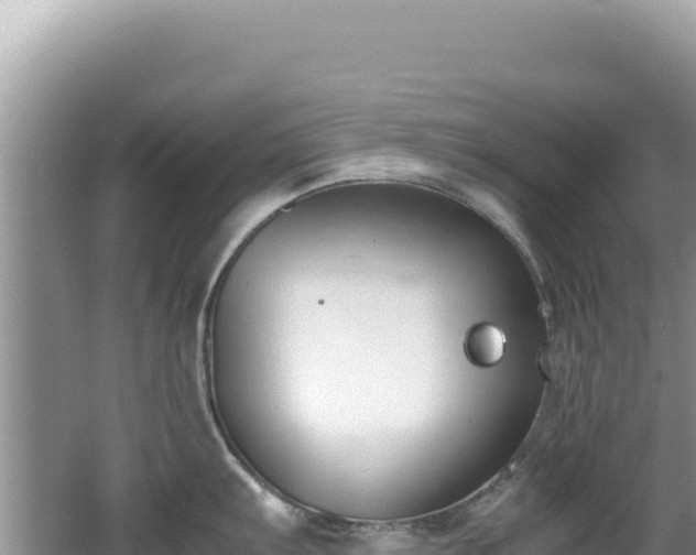 X0000062151103200512121301