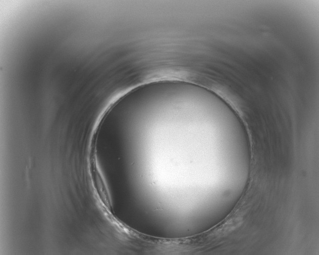 X0000062151104200512121301