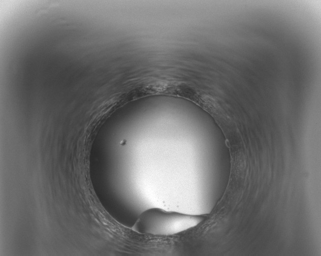 X0000062151105200512121300