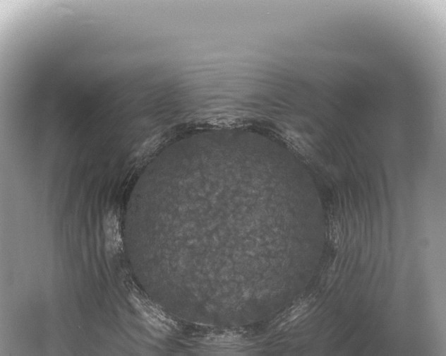 X0000062151106200512121300