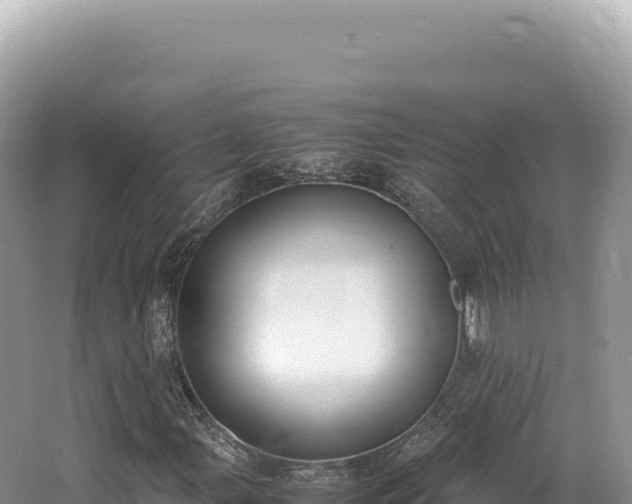 X0000062151107200512121300