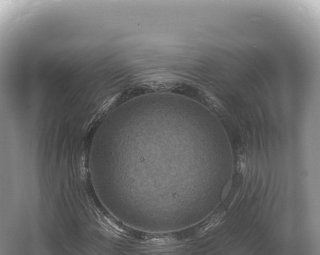 X0000062151108200512121300