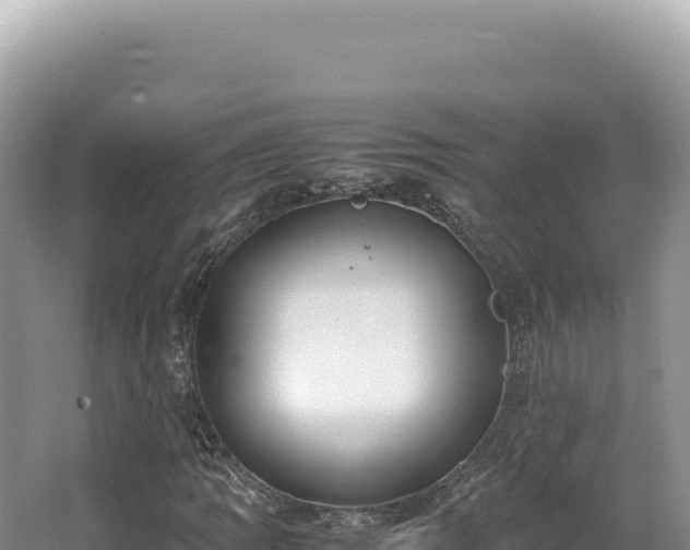 X0000062151109200512121300