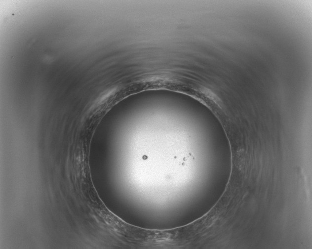 X0000062151111200512121300