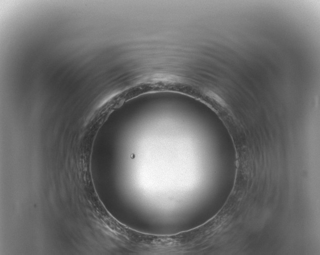 X0000062151112200512121300