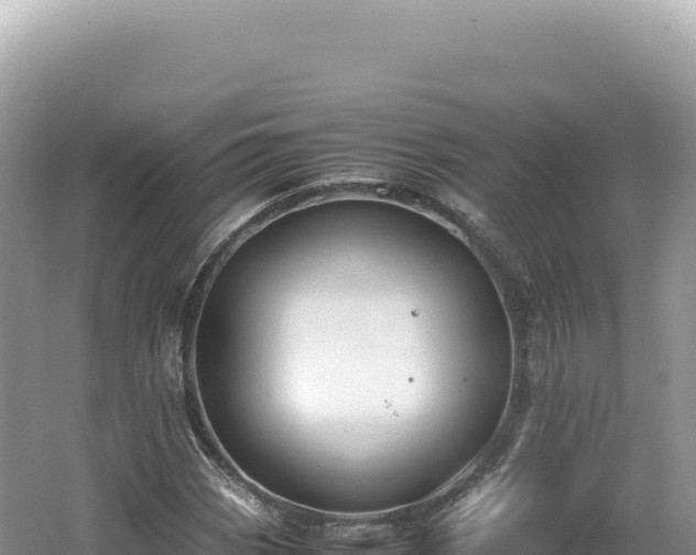 X0000062151113200512121300