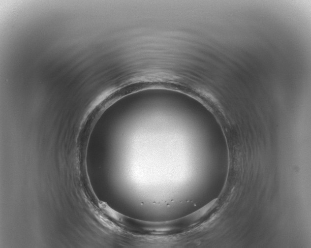 X0000062151114200512121300