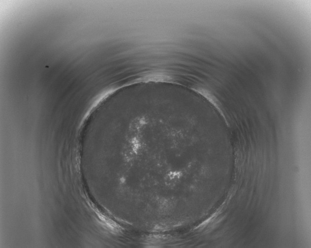 X0000062151115200512121300