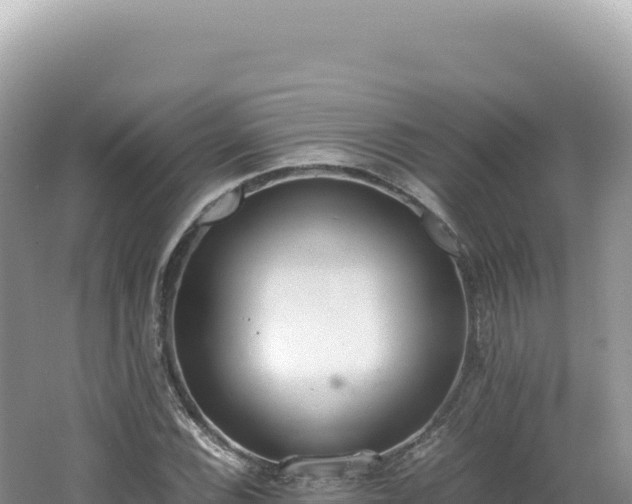 X0000062151116200512121300