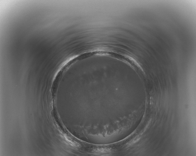 X0000062151117200512121300