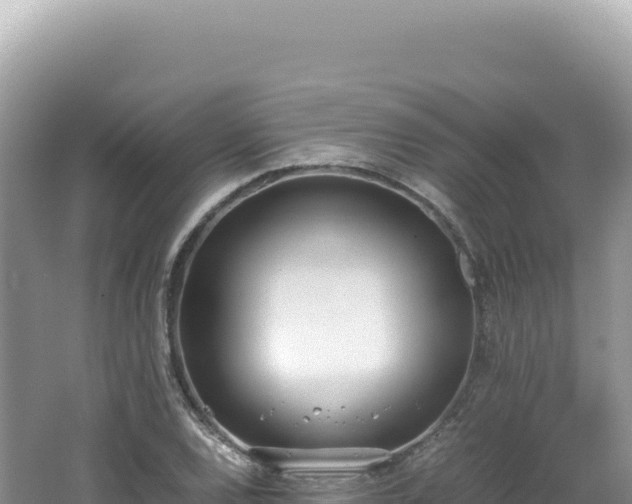 X0000062151120200512121300