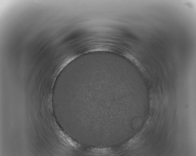 X0000062151121200512121300