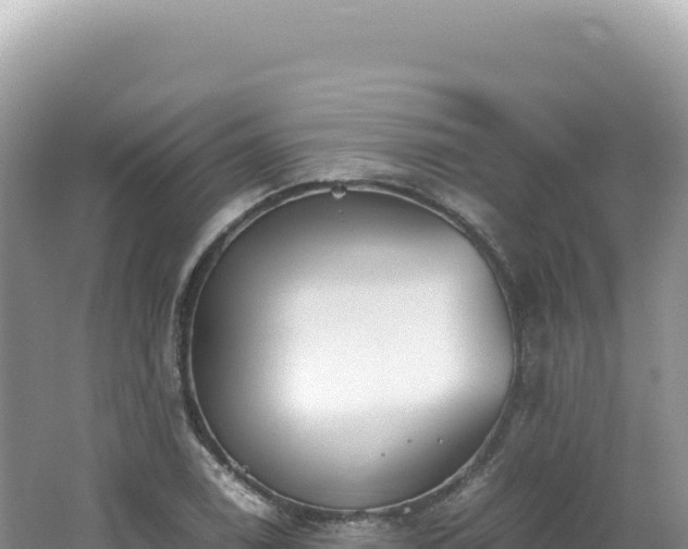 X0000062151122200512121300