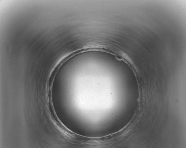 X0000062151124200512121300