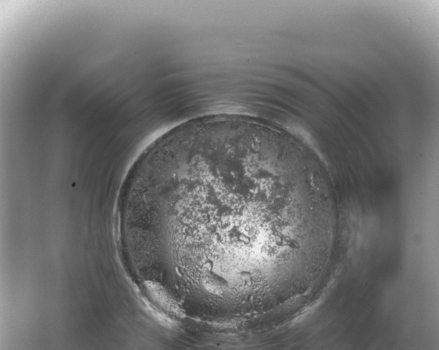 X0000062151125200512121300