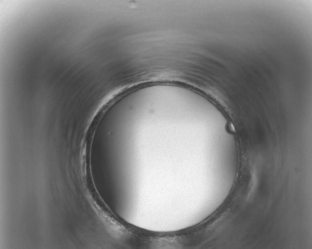 X0000062151126200512121300