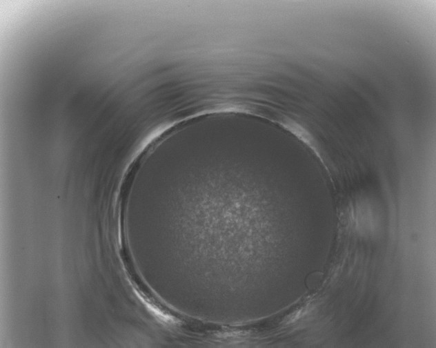 X0000062151127200512121300