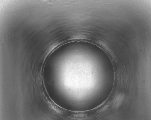 X0000062151129200512121300