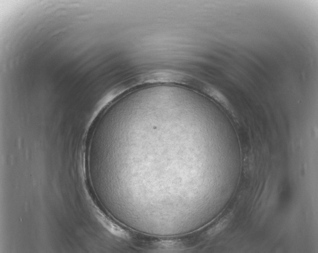 X0000062151130200512121300