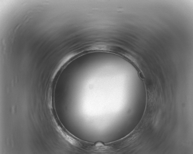 X0000062151131200512121300