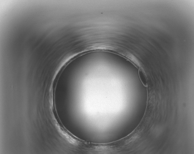 X0000062151132200512121300