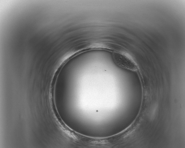 X0000062151133200512121300