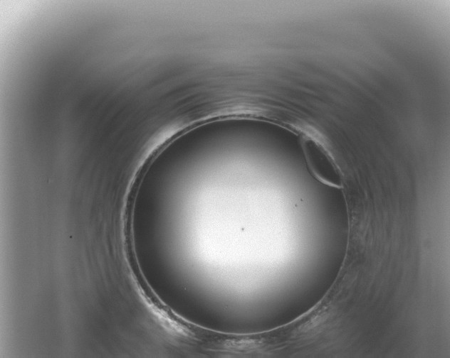 X0000062151135200512121300