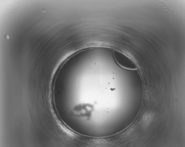 X0000062151136200512121300